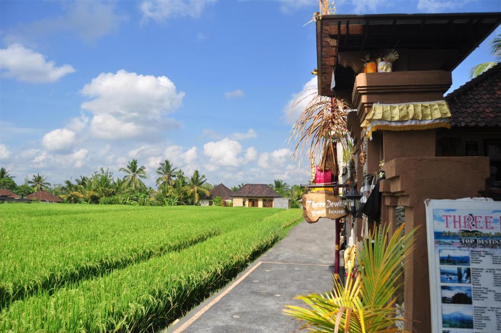 Three Dewi'S Guest House Ubud Kültér fotó